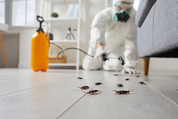 Trusted Cockroach Control service in Sea Breeze, NC - Nex Pest Control